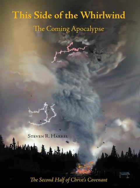 Cover image for book This Side of the Whirlwind