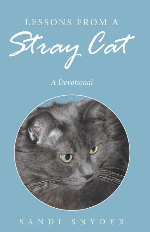 Cover image for book Lessons from a Stray Cat
