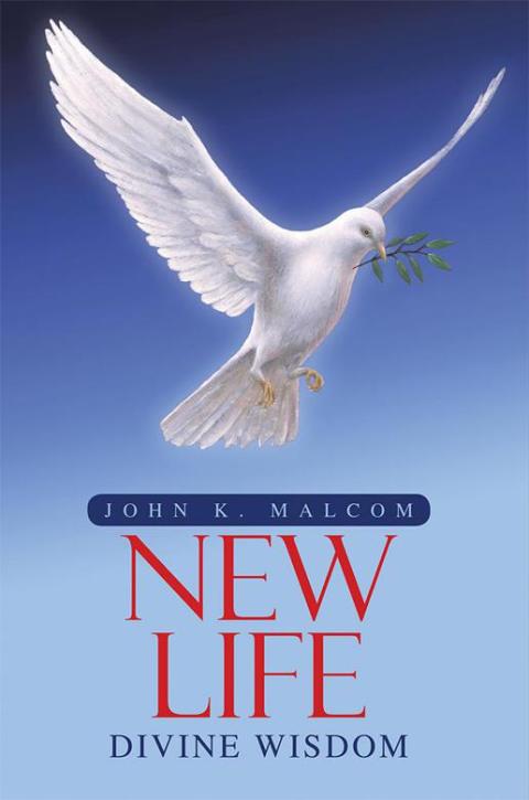 Cover image for book Divine Wisdom