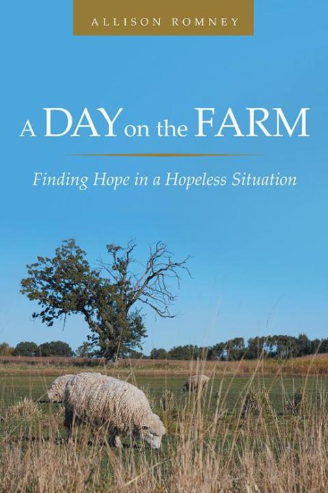 Cover image for book A Day on the Farm