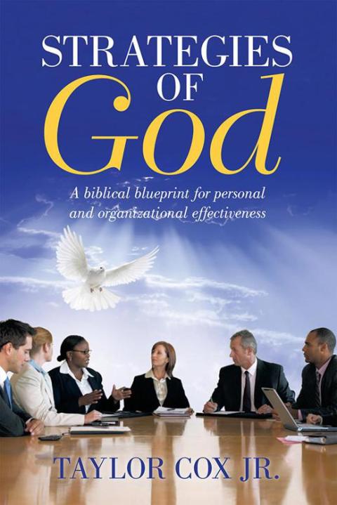 Cover image for book Strategies of God