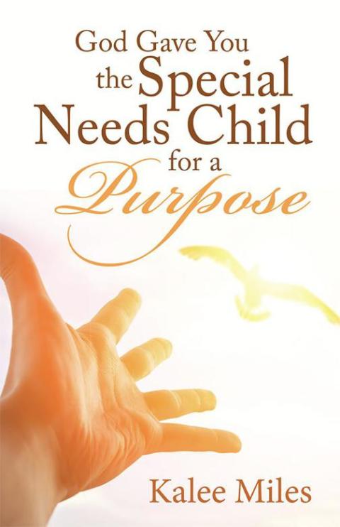 Cover image for book God Gave You the Special Needs Child for a Purpose