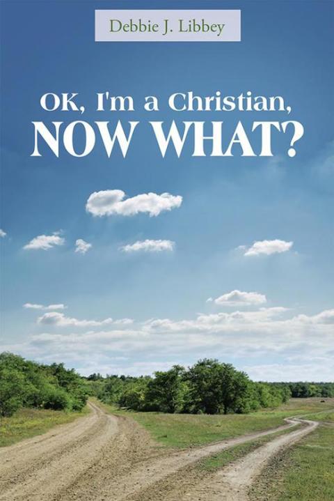 Cover image for book Ok, I'm a Christian, Now What?