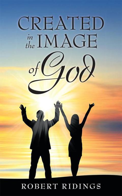 Cover image for book Created in the Image of God