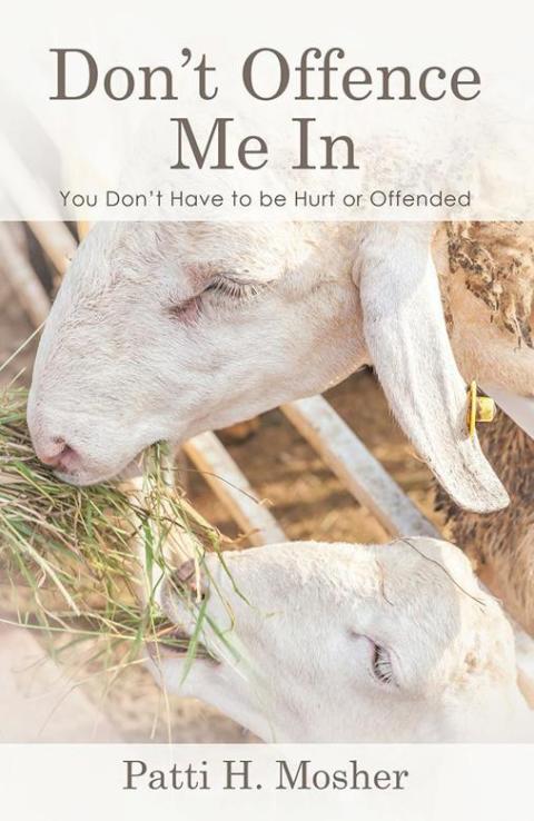 Cover image for book Don’T Offence Me In