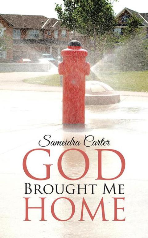 Cover image for book God Brought Me Home