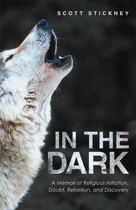 Cover image for book In the Dark