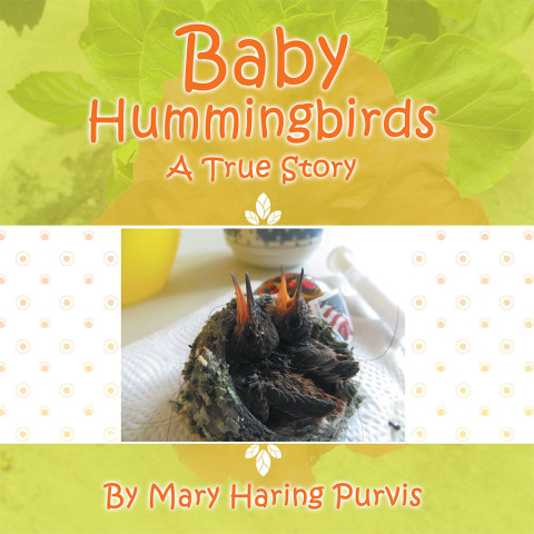 Cover image for book Baby Hummingbirds