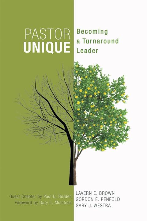 Cover image for book Pastor Unique