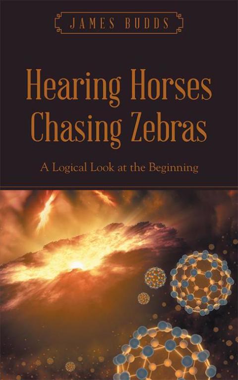 Cover image for book Hearing Horses Chasing Zebras