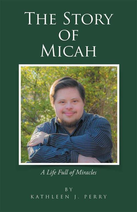 Cover image for book The Story of Micah