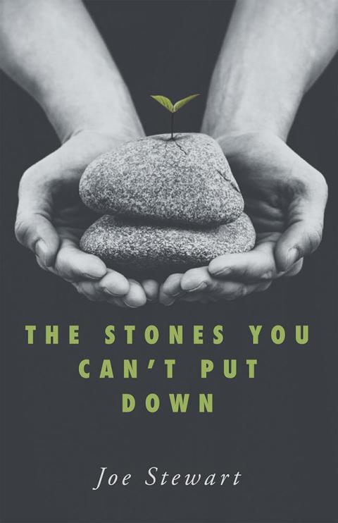 Cover image for book The Stones You Can't Put Down