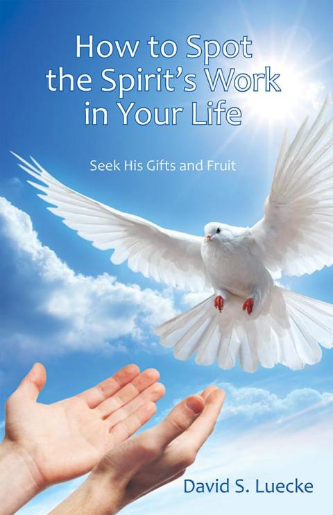 Cover image for book How to Spot the Spirit's Work in Your Life