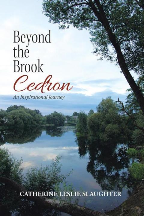 Cover image for book Beyond the Brook Cedron
