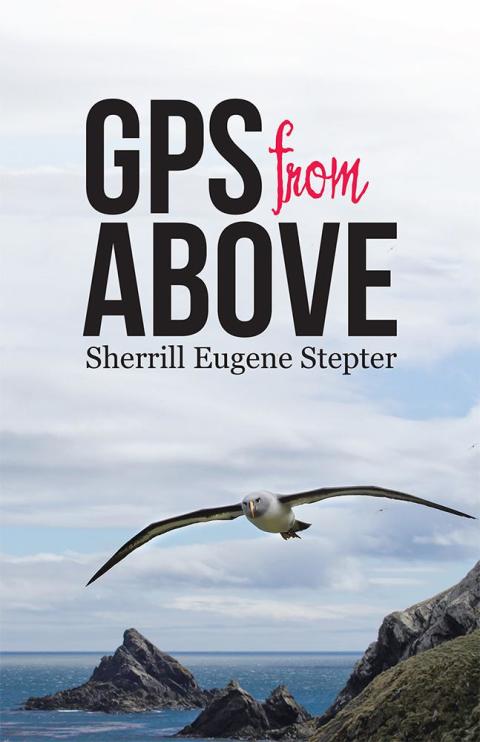 Cover image for book Gps from Above