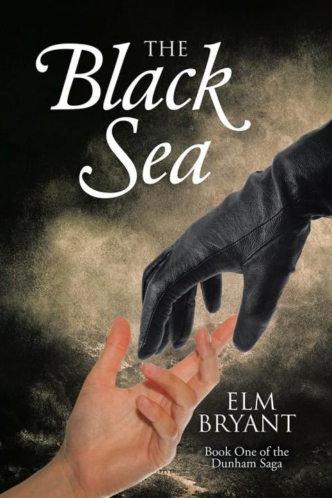 Cover image for book The Black Sea