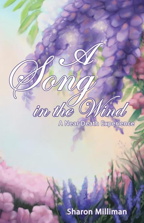 Cover image for book A Song in the Wind