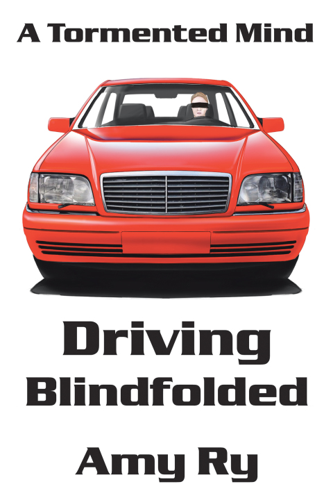 Cover image for book Driving Blindfolded