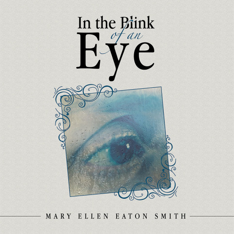 Cover image for book In the Blink of an Eye