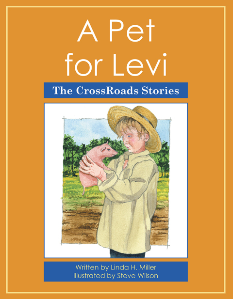 Cover image for book A Pet for Levi