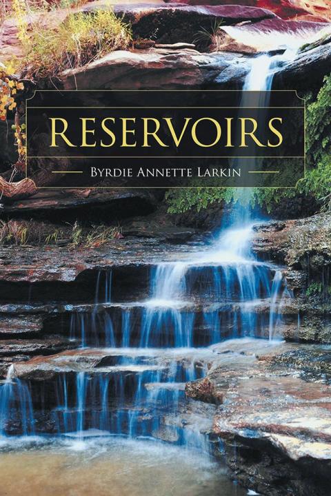 Cover image for book Reservoirs