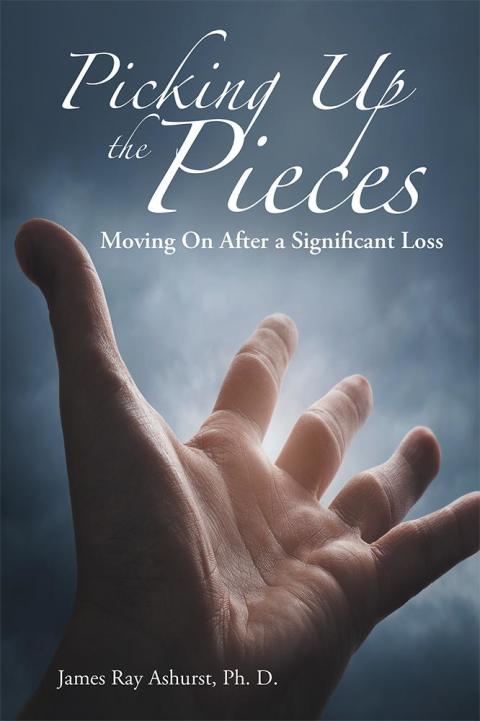 Cover image for book Picking up the Pieces