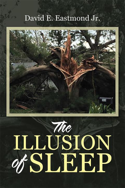Cover image for book The Illusion of Sleep