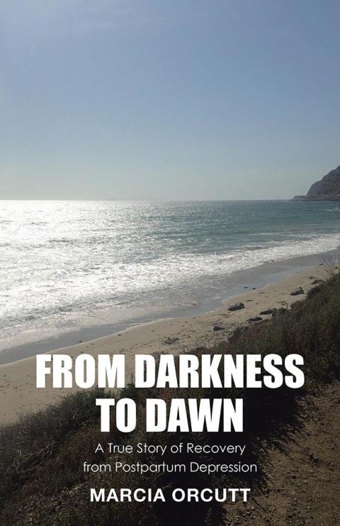 Cover image for book From Darkness to Dawn