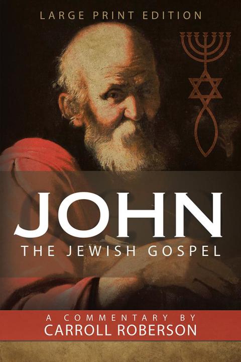 Cover image for book John the Jewish Gospel