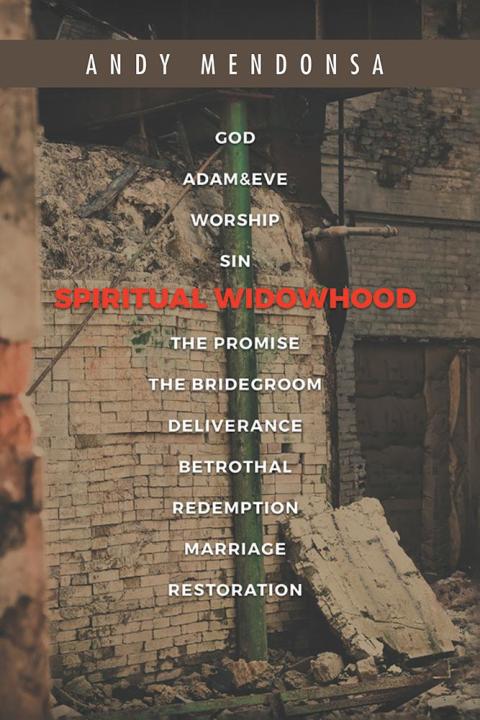 Cover image for book Spiritual Widowhood