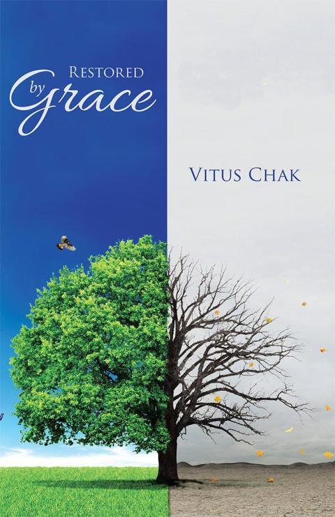 Cover image for book Restored by Grace