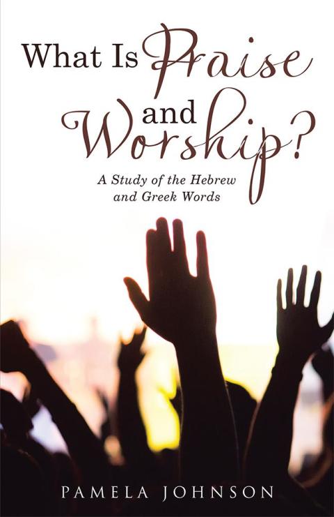 Cover image for book What Is Praise and Worship?