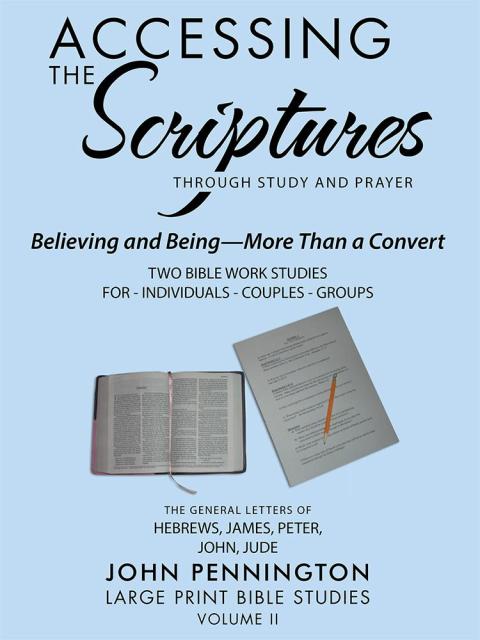 Cover image for book Accessing the Scriptures
