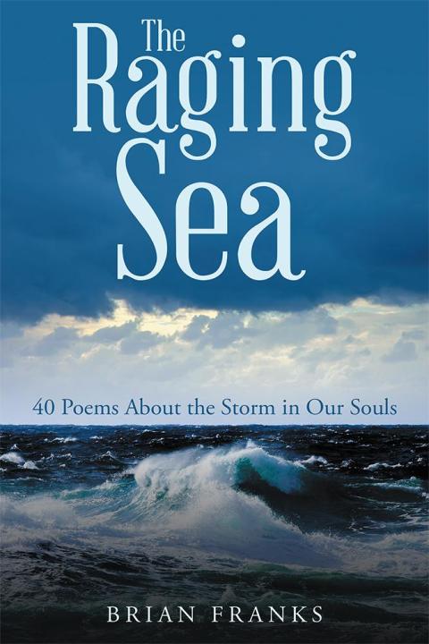 Cover image for book The Raging Sea