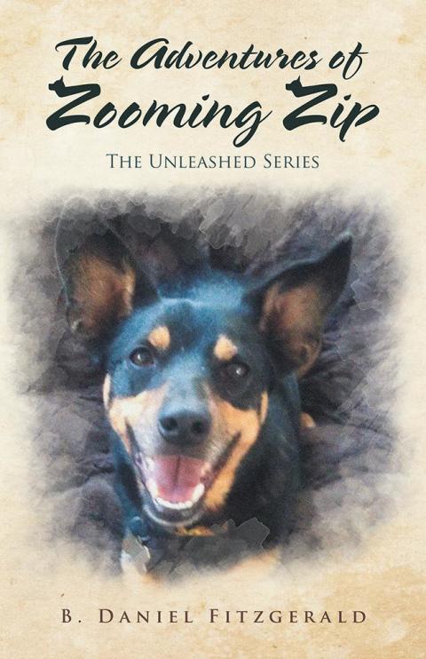 Cover image for book The Adventures of Zooming Zip