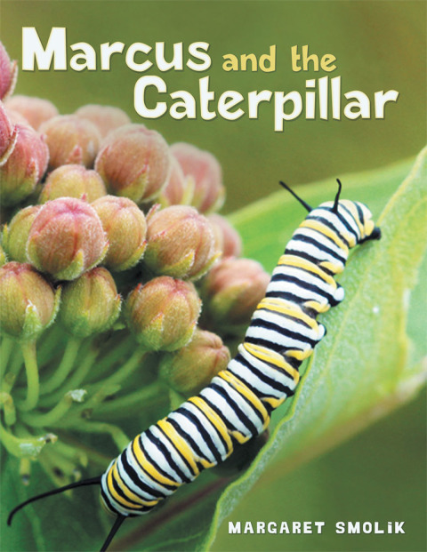 Cover image for book Marcus and the Caterpillar