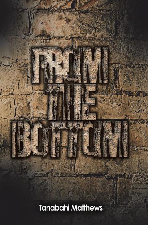 Cover image for book From the Bottom