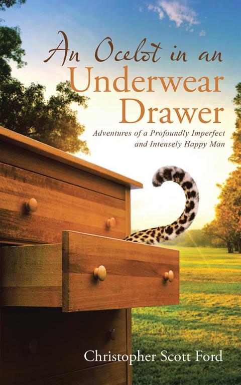 Cover image for book An Ocelot in an Underwear Drawer
