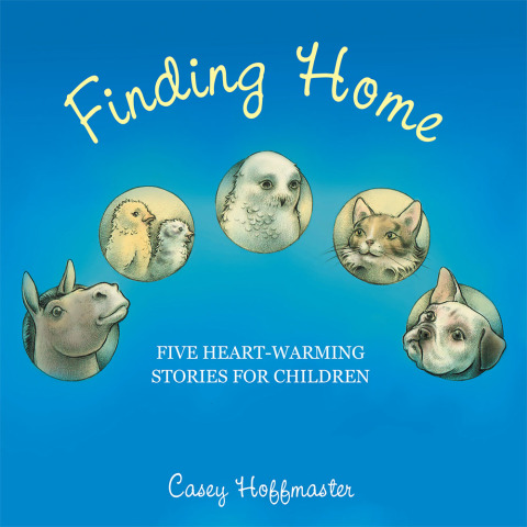 Cover image for book Finding Home