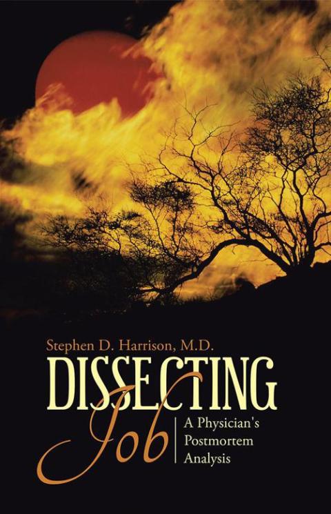 Cover image for book Dissecting Job