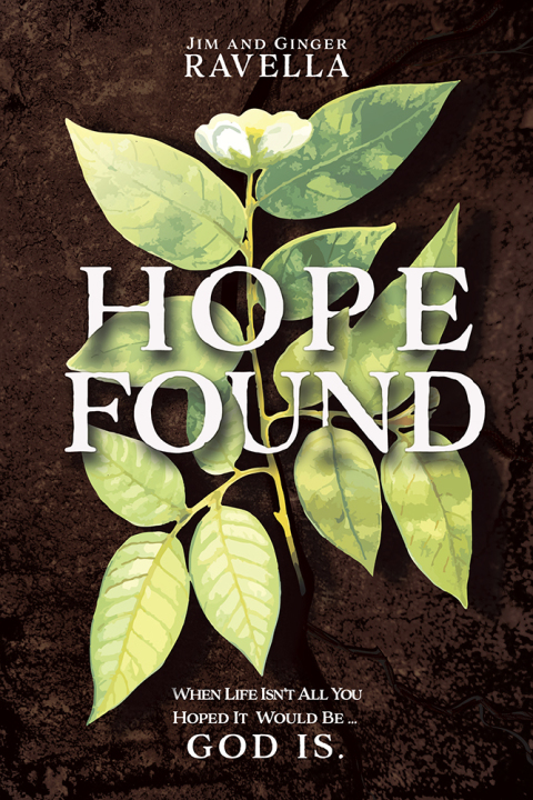 Cover image for book Hope Found