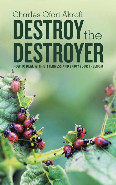 Cover image for book Destroy the Destroyer