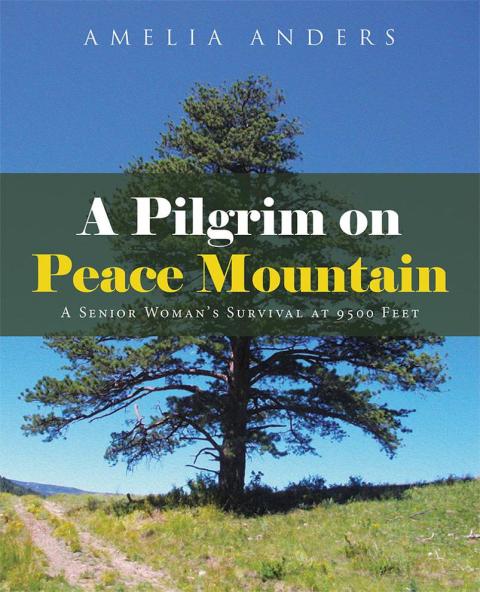 Cover image for book A Pilgrim on Peace Mountain