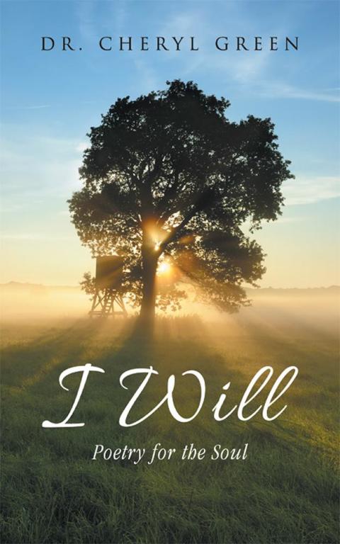 Cover image for book I Will