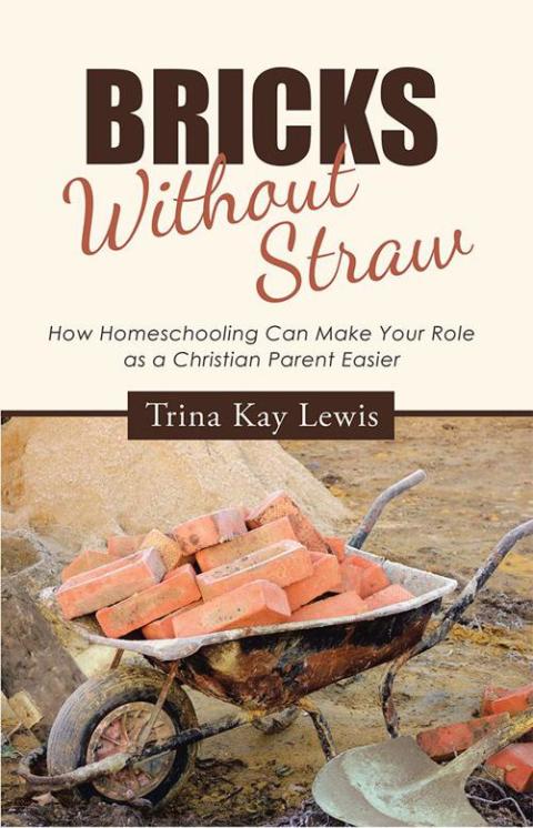 Cover image for book Bricks Without Straw