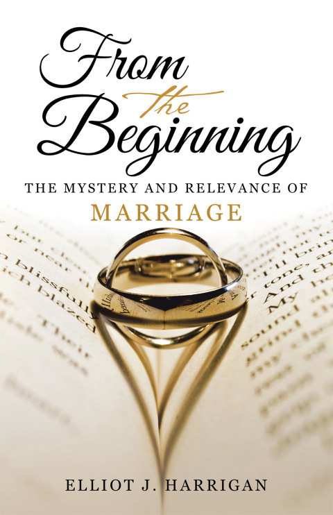 Cover image for book From the Beginning