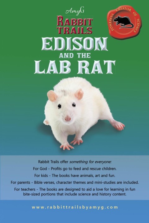 Cover image for book Rabbit Trails