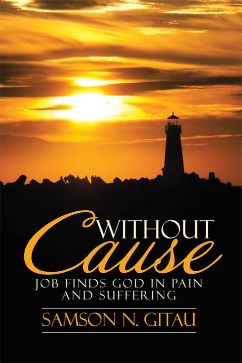 Cover image for book Without Cause