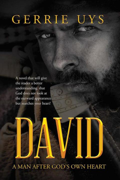 Cover image for book David