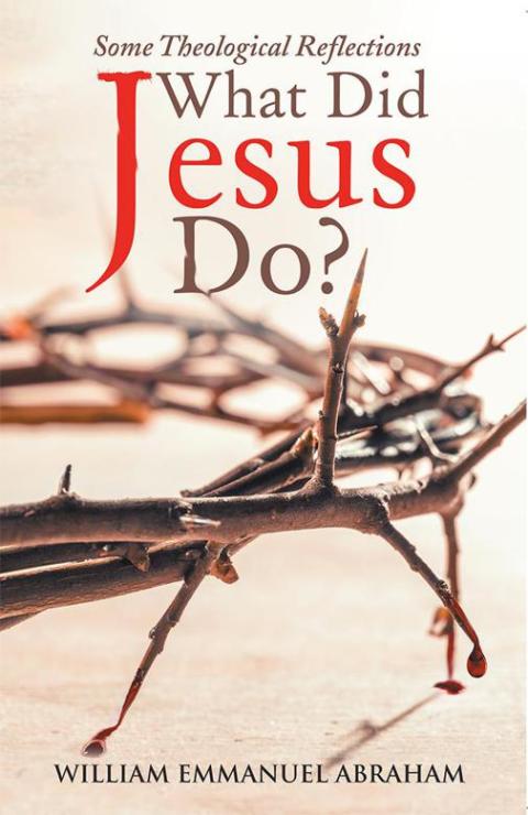 Cover image for book What Did Jesus Do?